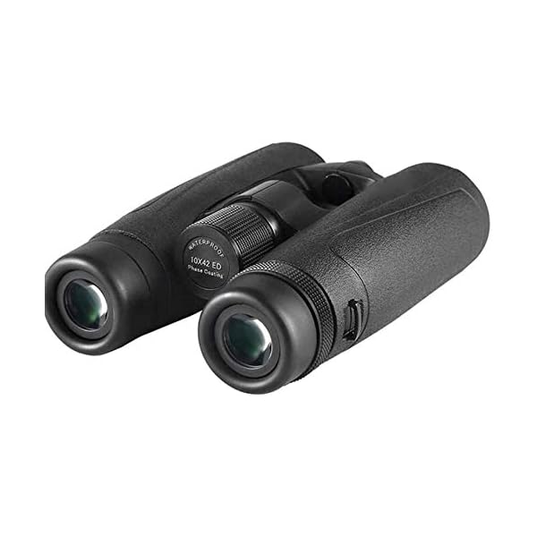 DSHUJC Fernglas für Erwachsene Fernglas Teleskope Teleskop, Vogelbeobachtung im Freien 12X25 Handheld Portable… – Bild 6