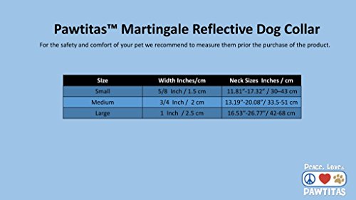 Pawtitas Pet Reflective Adjustable Soft Dog Collar Martingale Training Teal Small 5/8 Inch