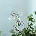 Calunce 2pcs Small Hand Blown Clear Glass Self Watering Aqua Globes,Mushroom