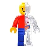 4D Vision Body Anatomy - Brick Man Funny Anatomy by Jason Freeny