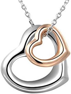Lovely Land " My Destiny" Steel and Rose Tone Double Heart Pendant Necklace