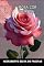 Livro Rosa Cor De Rosa