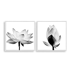2 Piece Framed Home Artwork Transparent Flower for...