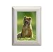 Generic Digital Recordable Photo Frame with 10s Voice Message, Can Hold 5.2x 3.7inch Photo Picture