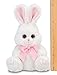 Bearington Lil’ Lillie White Plush Stuffed Animal Bunny Rabbit, Adorable, Soft and Cuddly, Great Gift for Bunny Lovers of All Ages, Birthdays, Holidays and Special Occasions, 6 inches