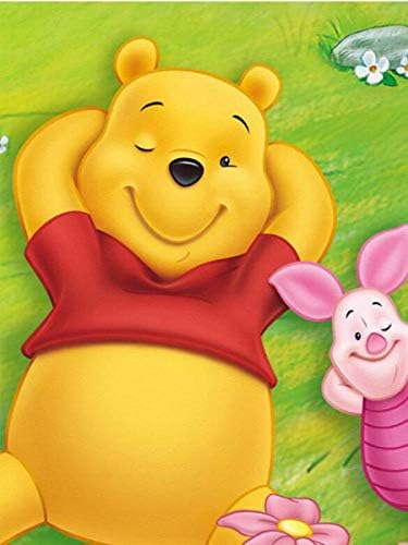 DIY 5D Diamond Painting Kits Full Drill Diamond Embroidery for Adults,Diamond Dotz Kit Home Wall Decor (12x16 inch) DZ3036