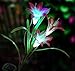 outdoor solar flowers，Solar Garden Outdoor Decorative Landscape Lily Flower Light Color Changing Energy Saving LED Lamp