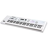 Roland 61 Key Synthesizer JUNO-DS61W