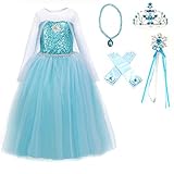 Ice Queen Elsa Blue Snowflake Jewel Costume Dress