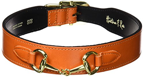 gucci collar for dogs