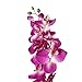 Ximkee 1 x Artificial Butterfly Orchid Flower Plant Home Decor Fuchsia (1pcs, Fuschia)