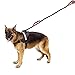 Dog Leash Bungee Double Handle,Shock Absorbing Reflective Elastic Bungee Lead Soft Double Padded 2 Handles for Traffic Safety Control Training, Perfect for Medium to Large Dogs