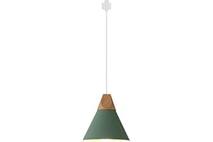 KIVEN H-Type Track Mount Light Modern Wood Pendant Lights Kitchen Lighting Scandinavian Light Fixture Home Lighting,Diameter 8.66",1-Light(Green)