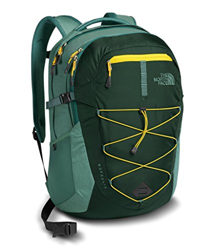 The North Face Borealis Backpack - Darkest Spruce & Silver Pine Green Light Heather - OS (Past Season)