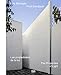 Luis Barragán/Fred Sandback: The Properties of Light by 