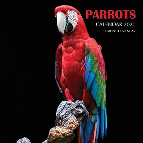 Parrots Calendar 2020: 16 Month Calendar