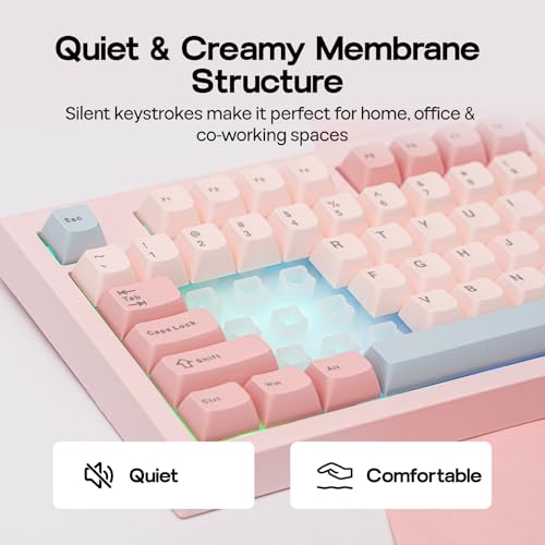EPOMAKER AULA S102 PRO Wireless Membrane Keyboard with TFT Screen and Number Pad, 2000mAh, RGB Backlit, Media Knob, 105 Keys, Full Size Wireless Gaming Keyboard (Pink)