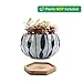 T4U Succulent Pots 4 Inch Ceramic Japanese Style with Saucer, Orchid Pattern Plant Planter Cactus Flower Container Aloe Bowl Indoor Home Office Decoration Christmas Wedding Gift