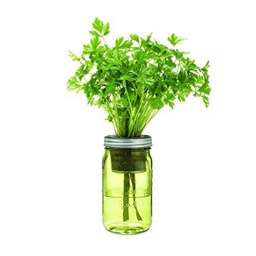Kitchen Herb Kit – Three Self-watering Indoor Planters with Organic Basil, Organic Parsley, and Non-gmo Mint Seeds.