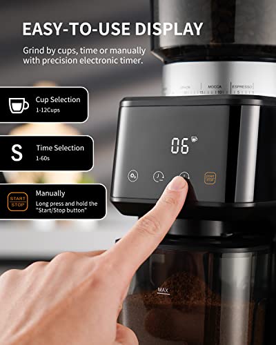 SHARDOR Stainless Steel Electric Cone Grinder, 51 Levels of Fine Grinding, 3-in-1 Coffee Grinder, Updated with Powder Holder, Coffee Grinder, Cone Grinder, LCD Screen and Large Capacity