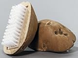Harold'S Kitchen Spud Scrub Vegetable Brush Display