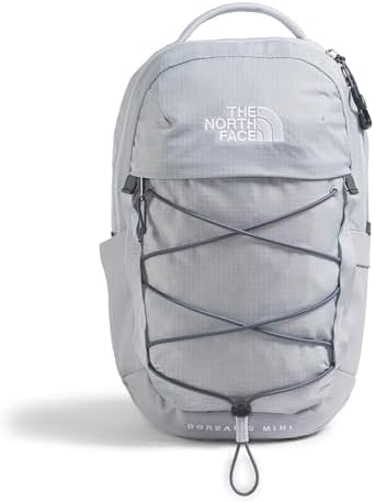 Amazon.com | The North Face Women's Never Stop Mini Backpack, Clay
