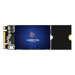 GAMERKING SSD M.2 2260 256GB NGFF Sata SSD Internal