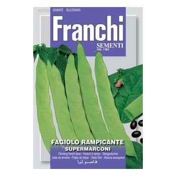 Amazon.com: Romano Italian Pole Bean - 50 Seeds - Distinctive, Full ...