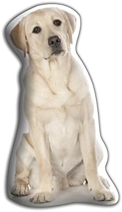 Adorable Cushions Yellow Labrador