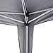 Best Choice Products 10x10ft Lightweight Portable Instant Pop Up Canopy Shade Shelter Gazebo Tent w/Carry Case and Side Walls, Blue