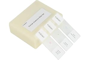DIY-SCIENCE Prepared Human Tissue Anatomy Microscope Slides Set, 17pcs Hand-Prepared Slides Survey The Major Tissues and Organs of Human Body Dedicated to Human Physiology (Human Anatomy)
