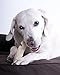 Downtown Pet Supply All Natural Lamb Ears for Dogs, Healthier Dog Training Chew Treats Than Rawhide - High Protein Treats for Dogs (25-Pack)