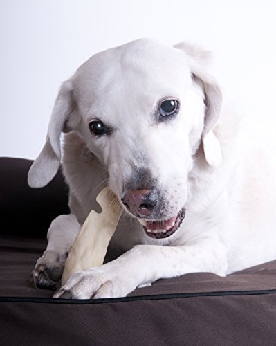 Downtown Pet Supply All Natural Lamb Ears for Dogs, Healthier Dog Training Chew Treats Than Pig Ears and Rawhide - High Protein Treats for Dogs (50-Pack)