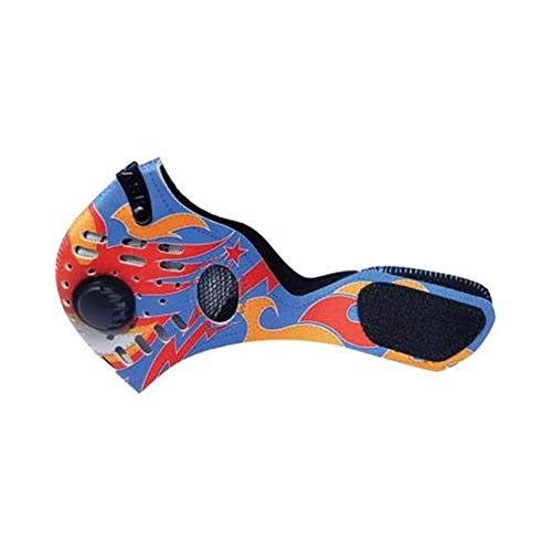 RZ Mask Dust Mask Luchadorz (Blue, Regular)