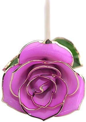 Mother's Day Rose,Rose Dipped In 24k Gold, Best Gifts for Women Girls on Valentine's Day, Birthday, Mother's Day , Anniversary (Purple)