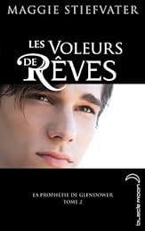 Les  voleurs de rêves