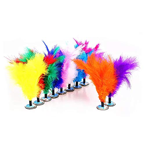 TangTanger 20 pcs Chicken Feathers Shuttlecock Sports Training Dedicated Goose Spline Multicolor Flower Shuttlecock Chinese Jianzi Sport - Thumbnail 3