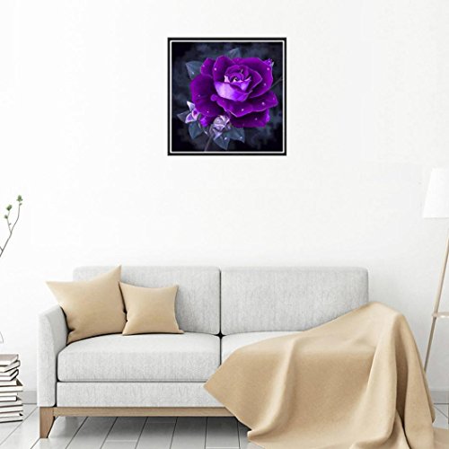 Botrong 5D Embroidery Paintings Rhinestone Pasted DIY Diamond painting Embroidery Arts Craft Adults' Children's Paint-By-Number Kits Cross Stitch (â¤ï¸ D:12X12inch / 30X30CM)