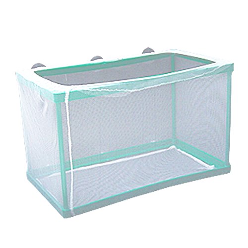 Aquarium Fry Hatchery Net Breeder, Green & White Keeping Fish