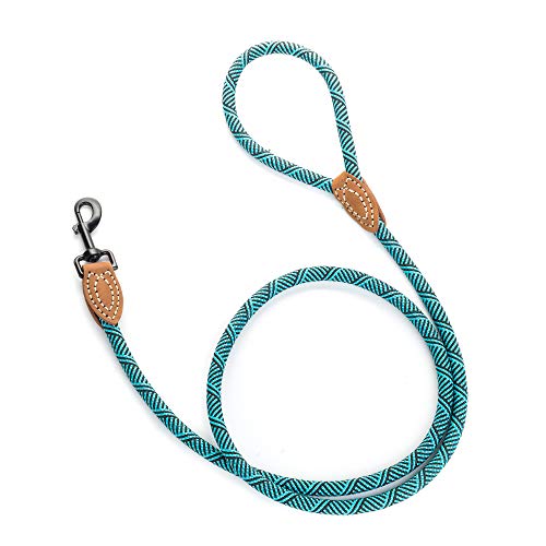 Mile High Life Mountain Climbing Dog Rope Leash with Heavy Duty Metal