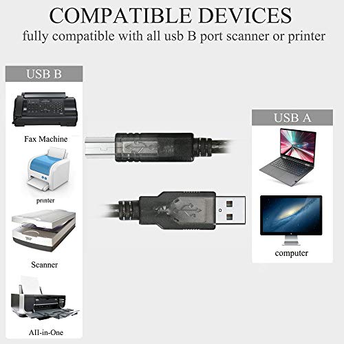 Long Printer USB Cable USB Printer Cable 50 Feet USB 2.0 Type A Male to