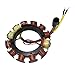 JETUNIT Stator 35Amp 6Cyl For Johnson Evinrude 150-155-175HP 173-4292 584292 583710 763764