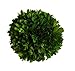 Mills Floral Company Boxwood Ball 4