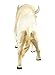 Safari Ltd. White Buffalo Figurine - Detailed 6