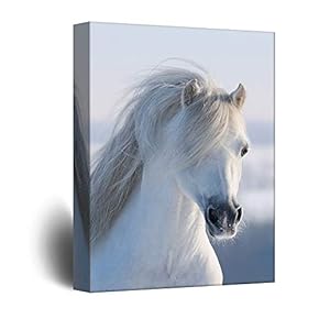 White Horse Portrait