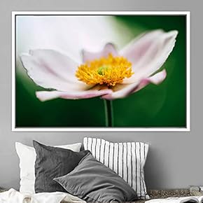 signwin Framed Canvas Wall Art Blooming Closeup Botanical...