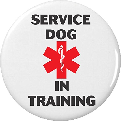 Service Dog IN TRAINING Medical Alert Symbol 2.25â€ Large Button Pin Disability