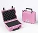 Seahorse SE300F,PK 300 Protective Case with Foam, Pink, Small