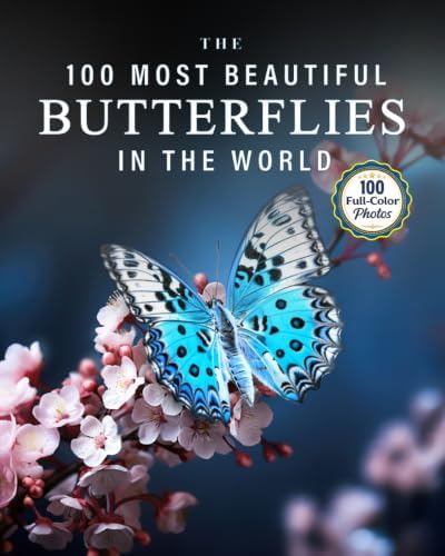 Butterflies of the World: Hoskins, Adrian: 9781921517334: Amazon
