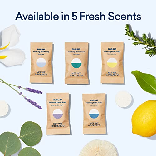 BLUELAND Foaming Hand Soap Refills 10 Pack Tablets, Iris Agave Scent